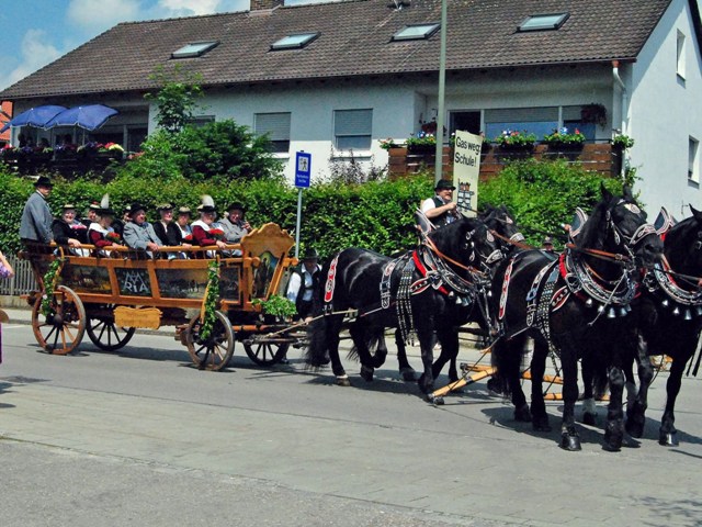 Bild75
