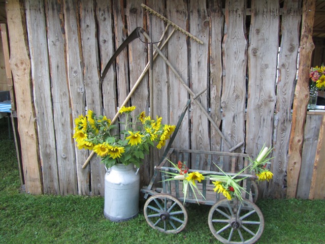 Bild14