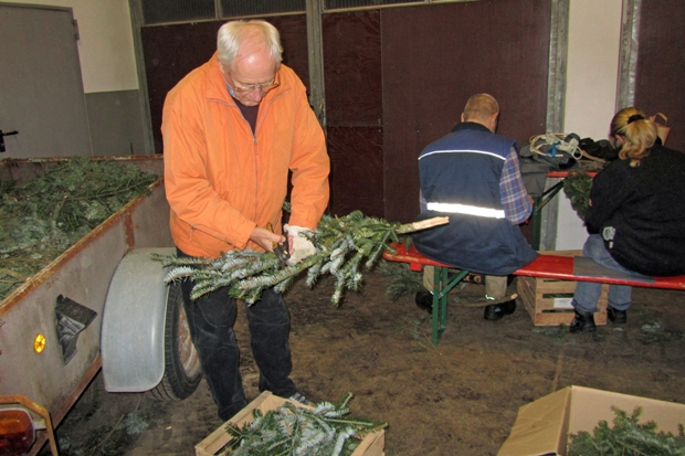 Bild5