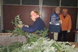 Bild11