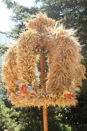 Bild22