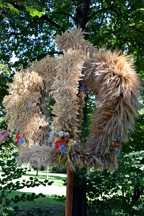 Bild41