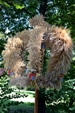 Bild41