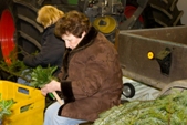 Bild6