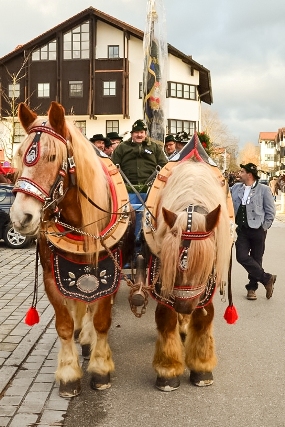 Bild7