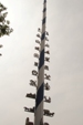 Bild16