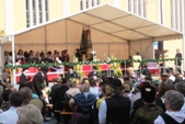 Bild7