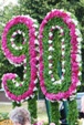 Bild16