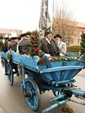 Bild1