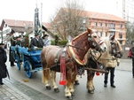 Bild2