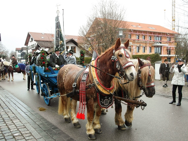 Bild6