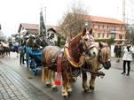 Bild6
