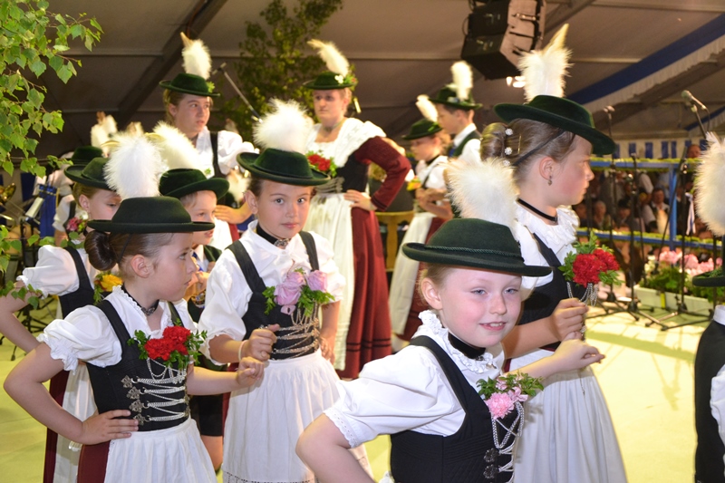 Bild40
