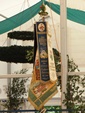 Bild42