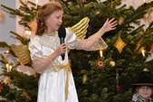 Bild9