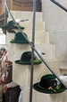 Bild11