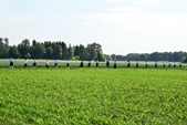Bild23