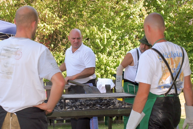 Bild65
