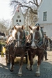 Bild7