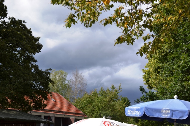 Bild101