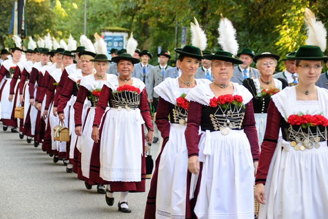 Bild71