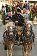 Bild51