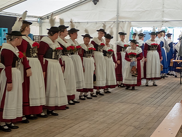 Bild8