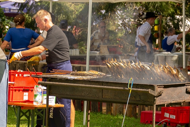 Bild15