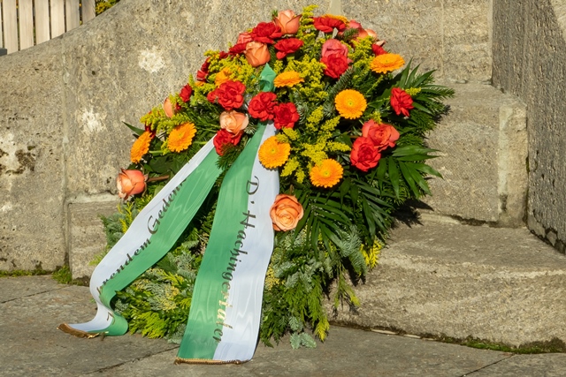Bild11