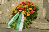 Bild11