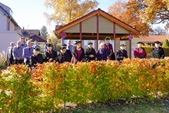 Bild9