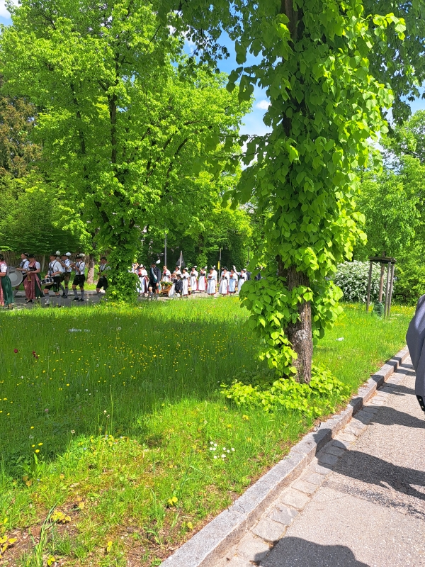 Bild81