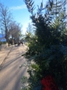 Bild13