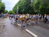 Bild65