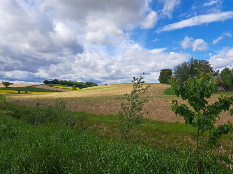 Bild19